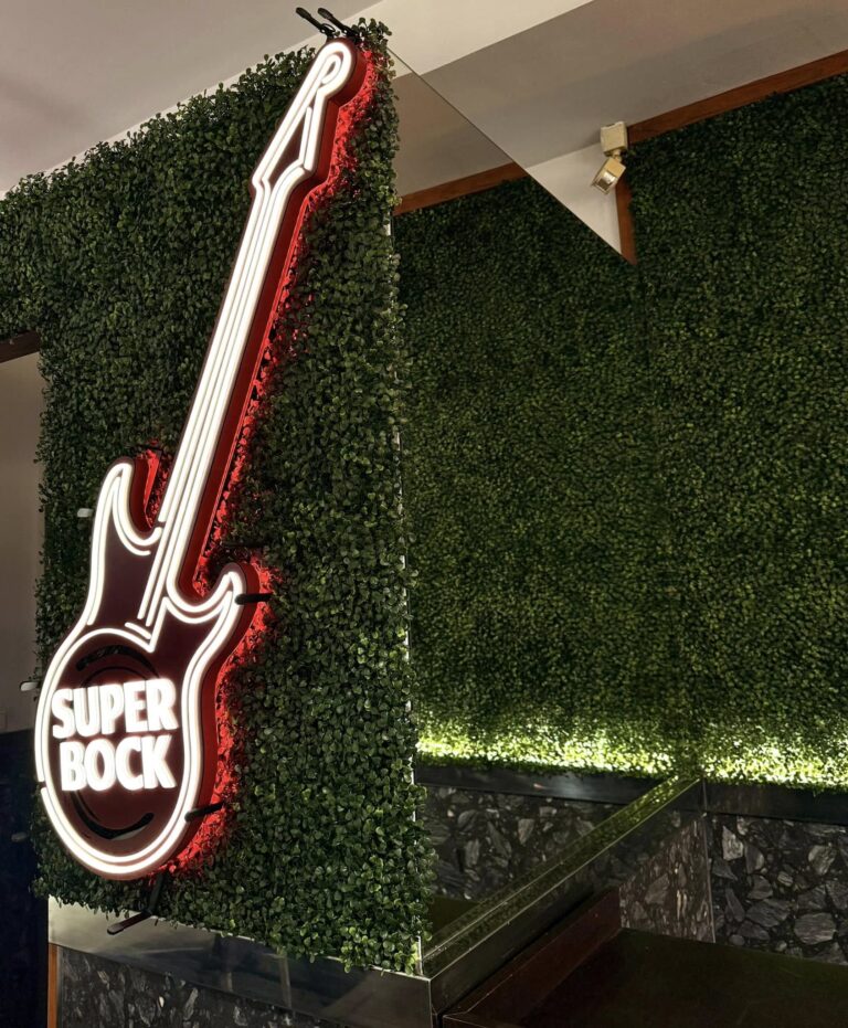 475484737 122167368902054266 6841452788222015951 n